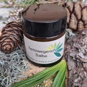 Rigi-Lama Spitzwegerichsalbe – Der Retter aus der Wiese