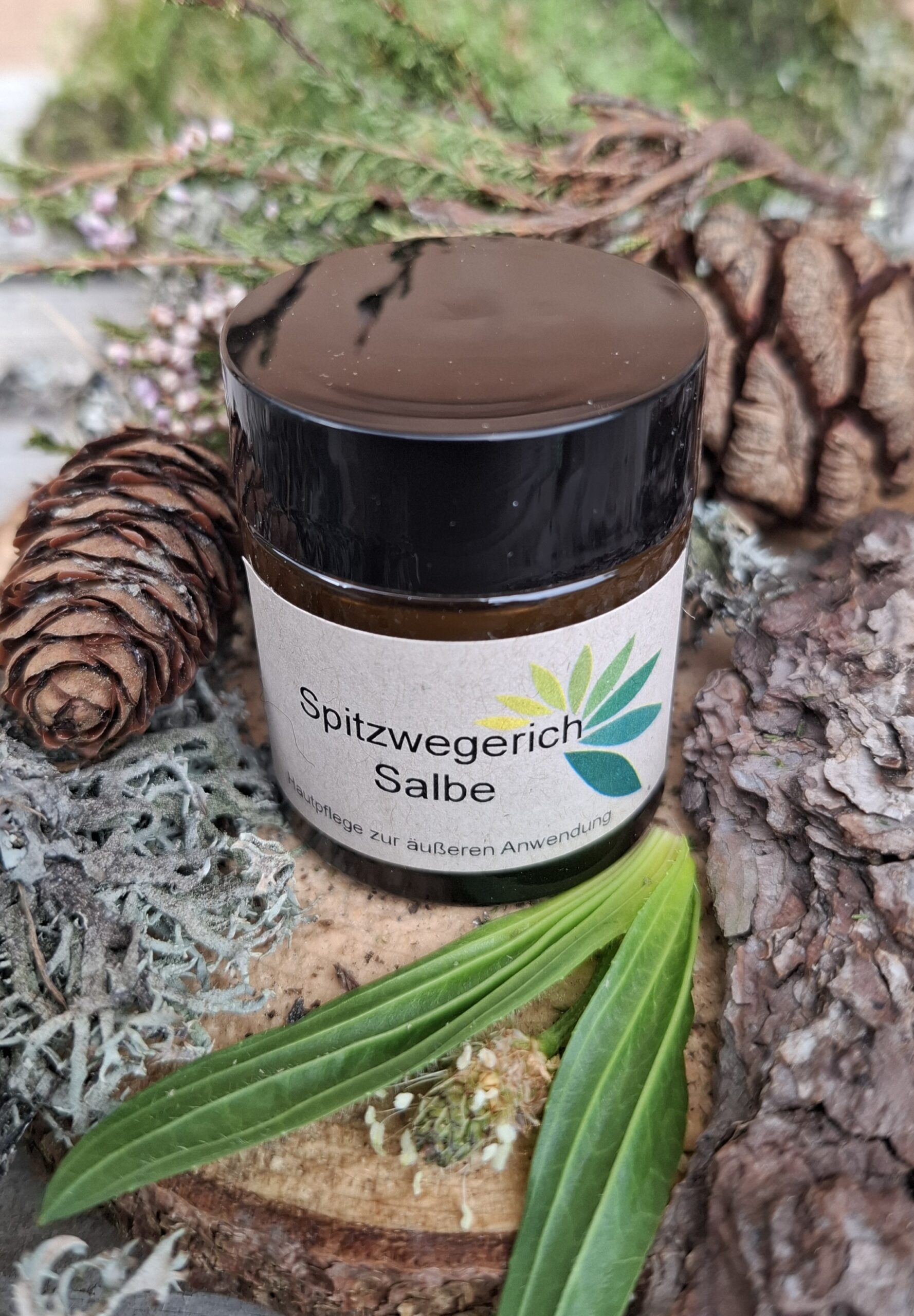 Rigi-Lama Spitzwegerichsalbe – Der Retter aus der Wiese